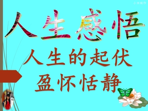 起伏人生，盈怀恬静