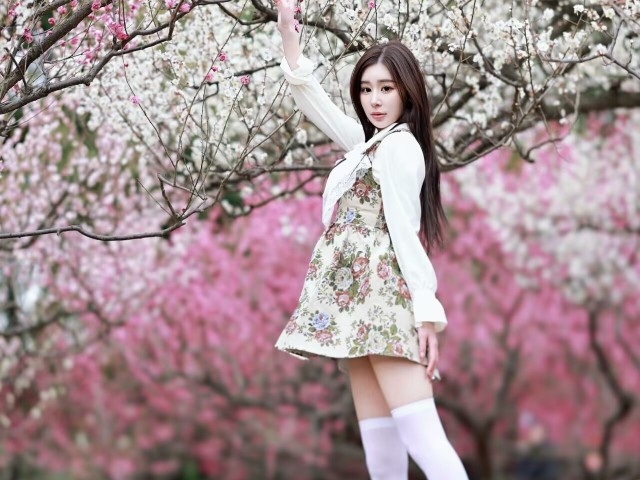 在春暖花开的二月里，提笔抒繁华似锦的岁月