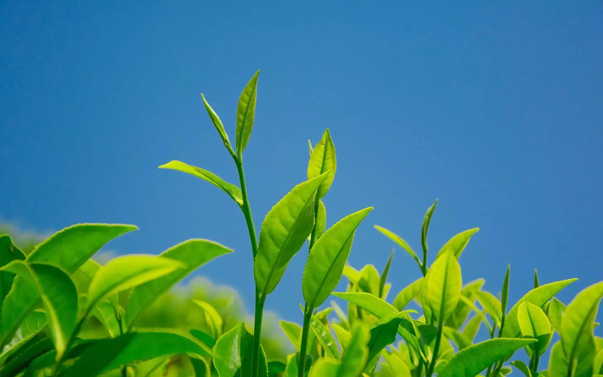 最大的财富不是金钱，而是精神口粮