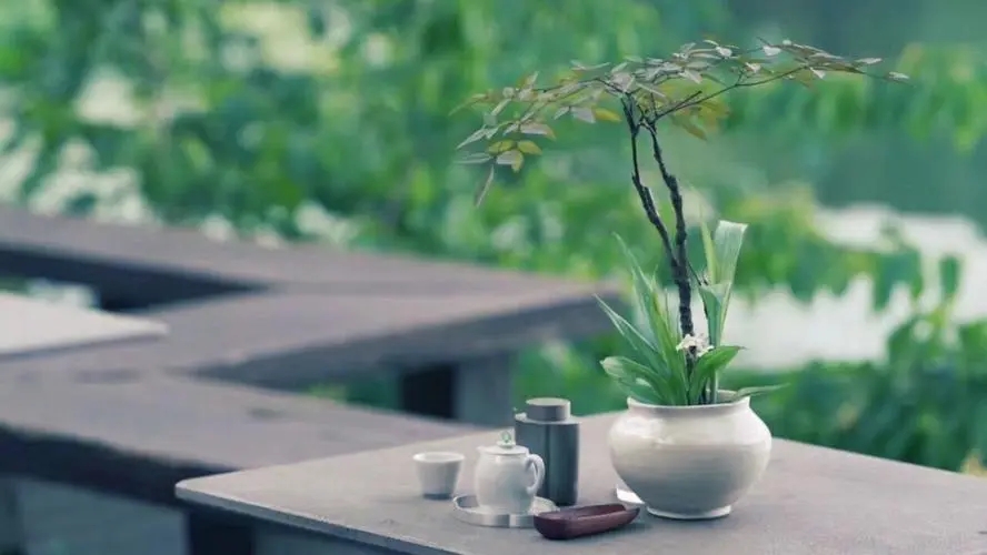 盈一份心的感知，唯美自己