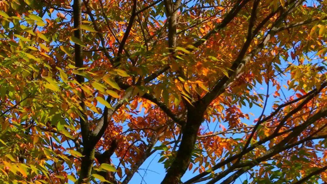 再好的理想也抵不过岁月的侵蚀