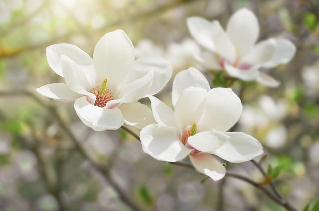 春夏秋冬眉间过，人生百味心头悟