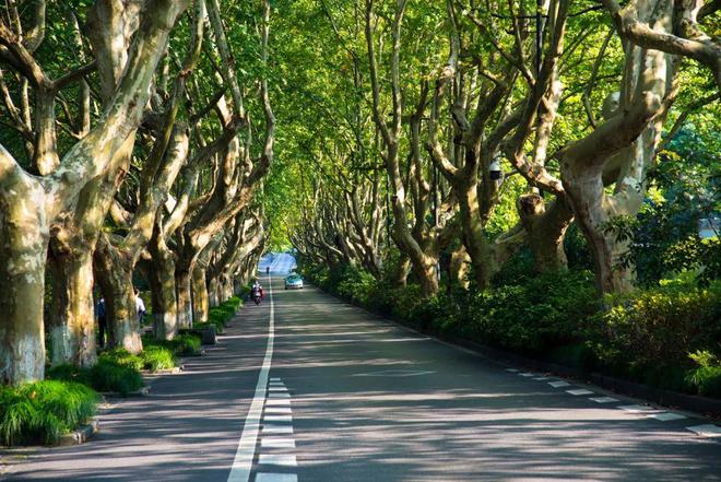 品读｜低碳生活不用藏着掖着